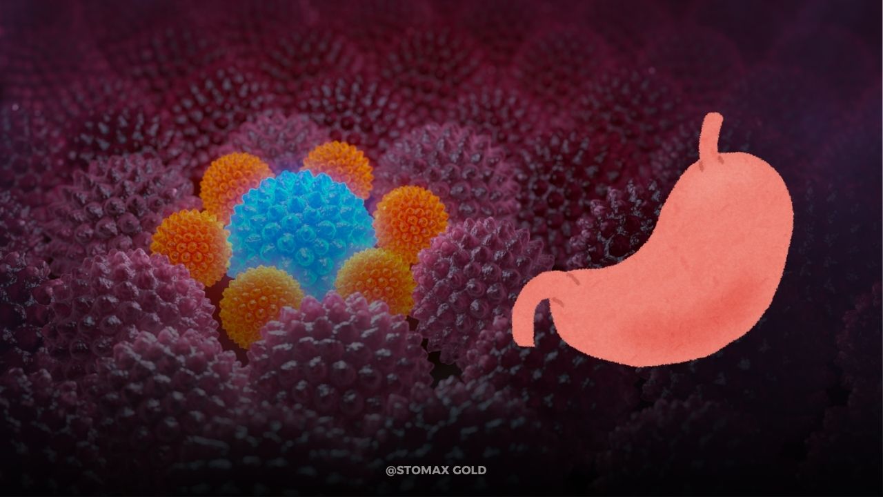 Reduce Stomach Bloating: 8 Proven Methods for Fast Relief | Stomax Gold